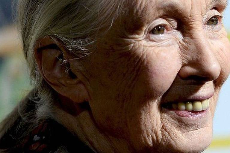 Jane Goodall expôe em seu livro as razões de sua esperança, apesar da destruição do meio ambiente