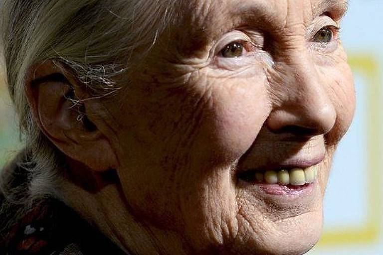Jane Goodall expôe em seu livro as razões de sua esperança, apesar da destruição do meio ambiente
