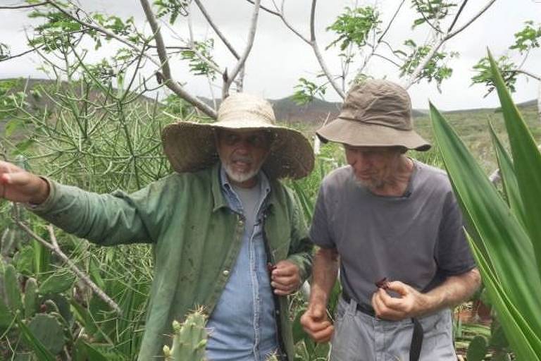 Dois homens de chapéu no meio de uma vegetação