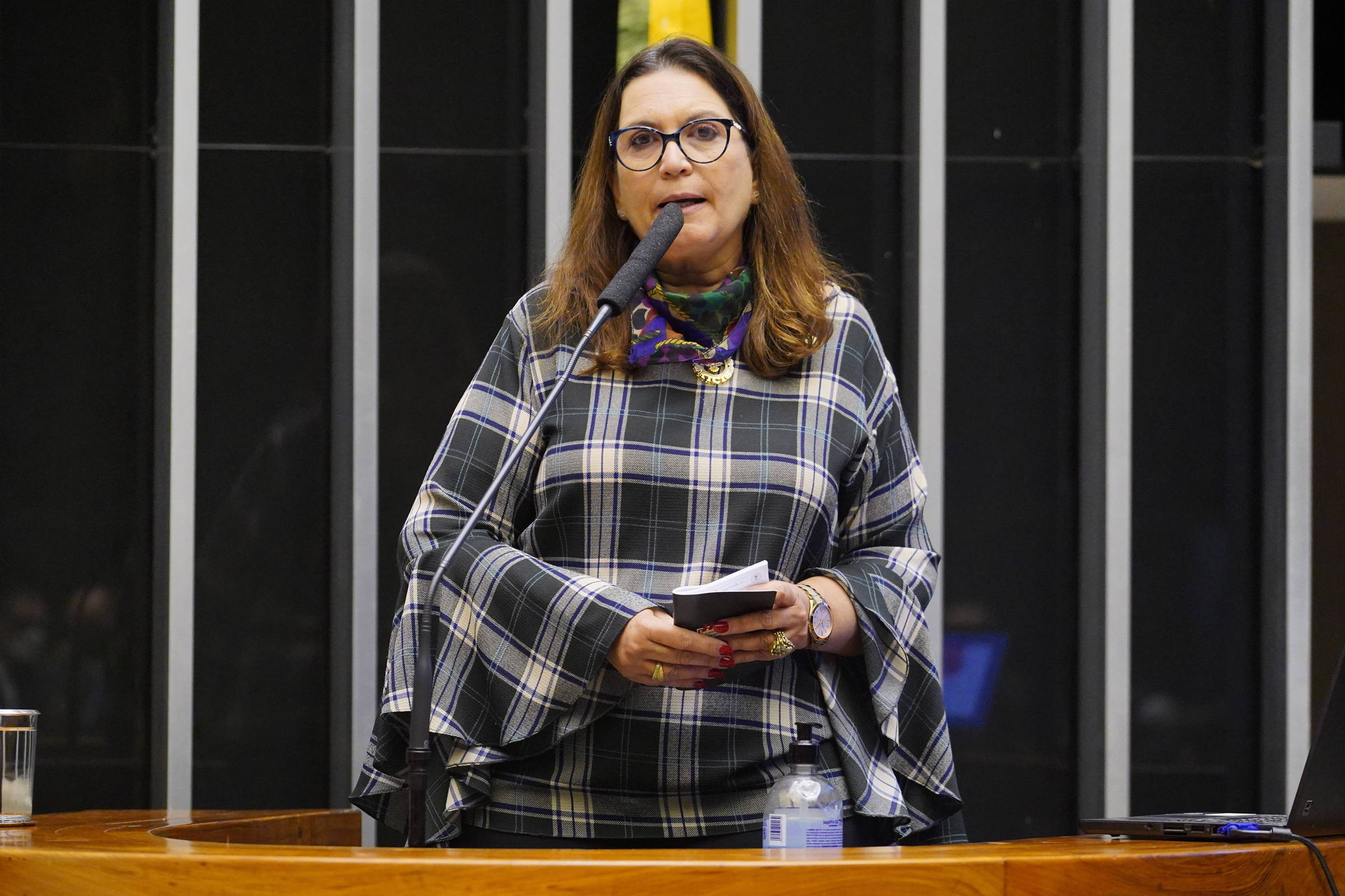 Vigília que motivou prisão preventiva de Bolsonaro está mantida, diz deputada