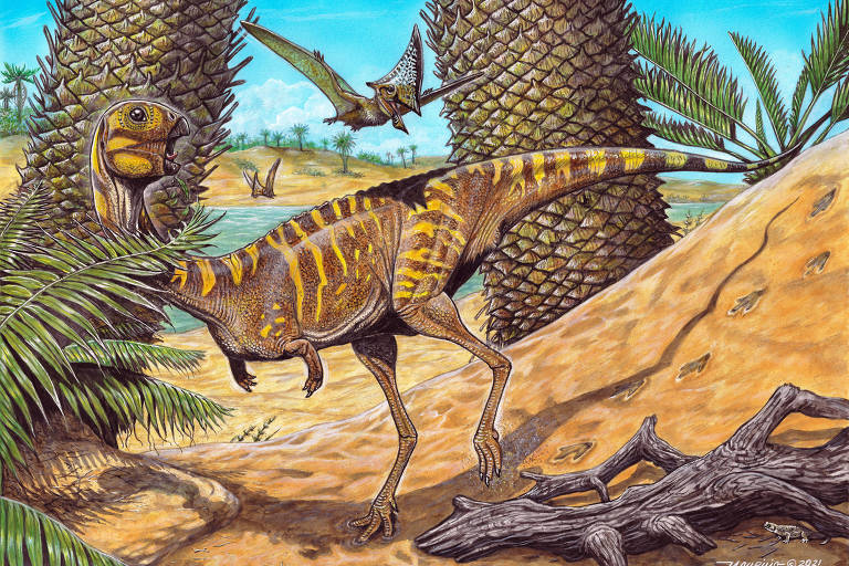 Sem dentes, novo dinossauro brasileiro surpreende cientistas; veja imagens