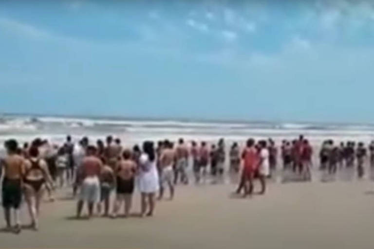 Idosa de 79 anos é atacada por tubarão na Praia Grande em Ubatuba