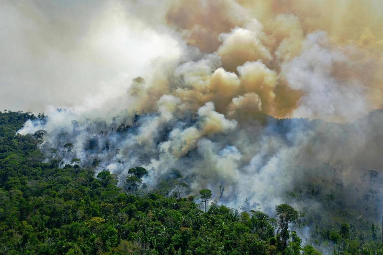 Imagem mostra incêndio consumindo floresta, com céu tomado por fumaça
