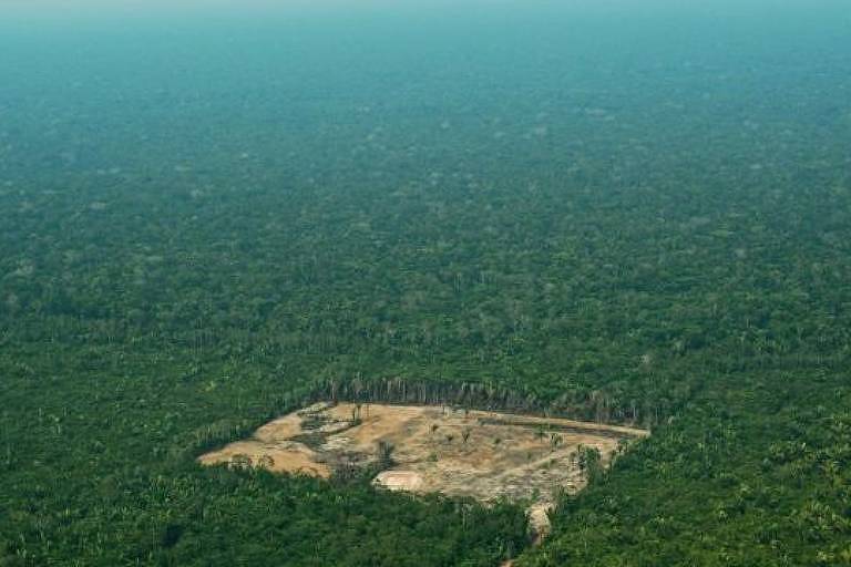 Imagem aérea mostra mostra área desmatada no meio de uma floresta