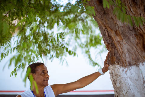 RIO DE JANEIRO, RJ, BRASIL, 08-02-2014, 15h00: Retrato de Bira Presidente, integrante do Grupo Fundo de Quintal e fundador do bloco Caique de Ramos, feito na quadra do bloco, no Rio de Janeiro. (Foto: Daniel Marenco/Fohapress ILUSTRADA) ***EXCLUSIVO FOLHA***