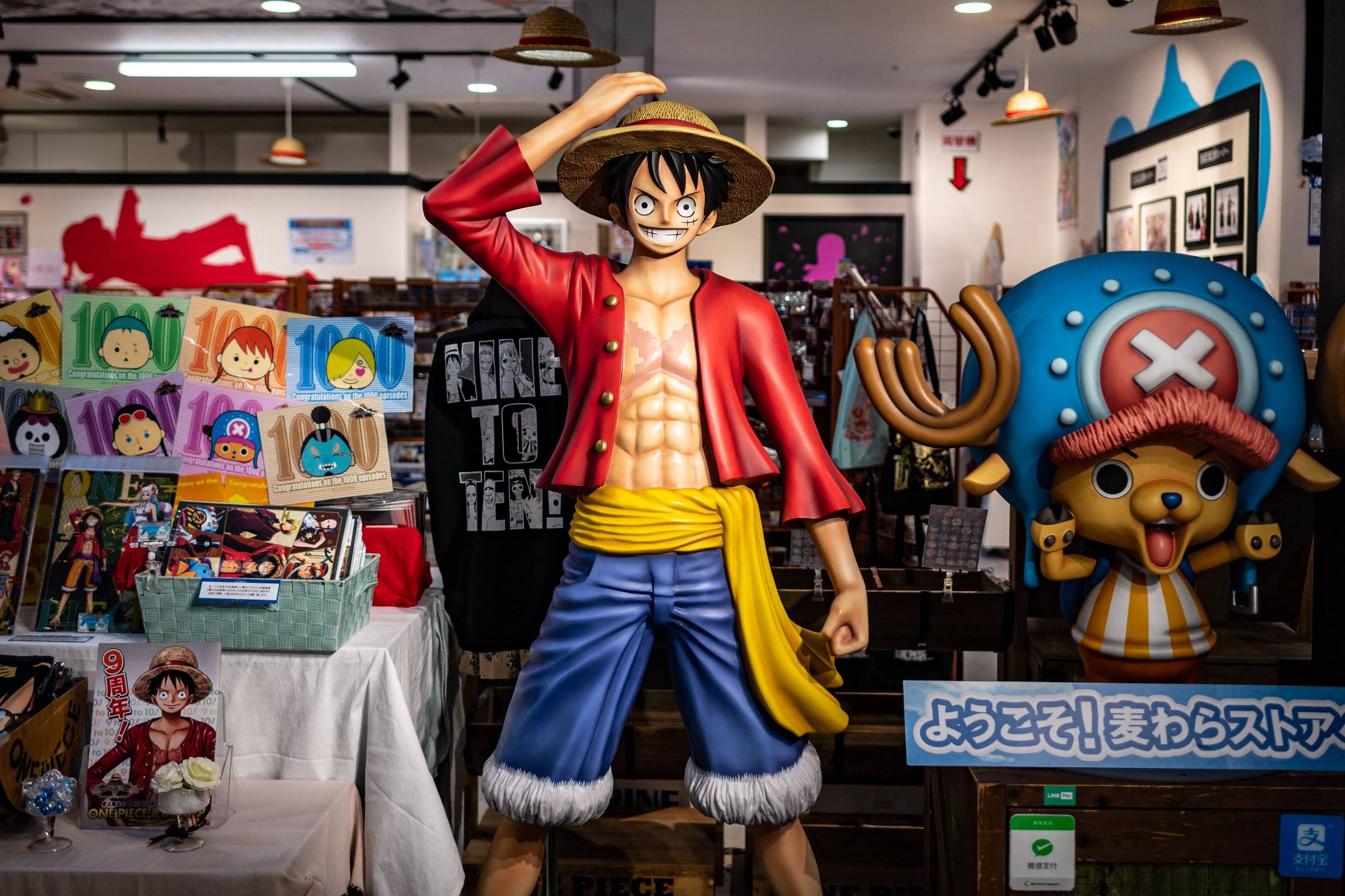 Quais episódios de One Piece posso pular (e quais talvez não