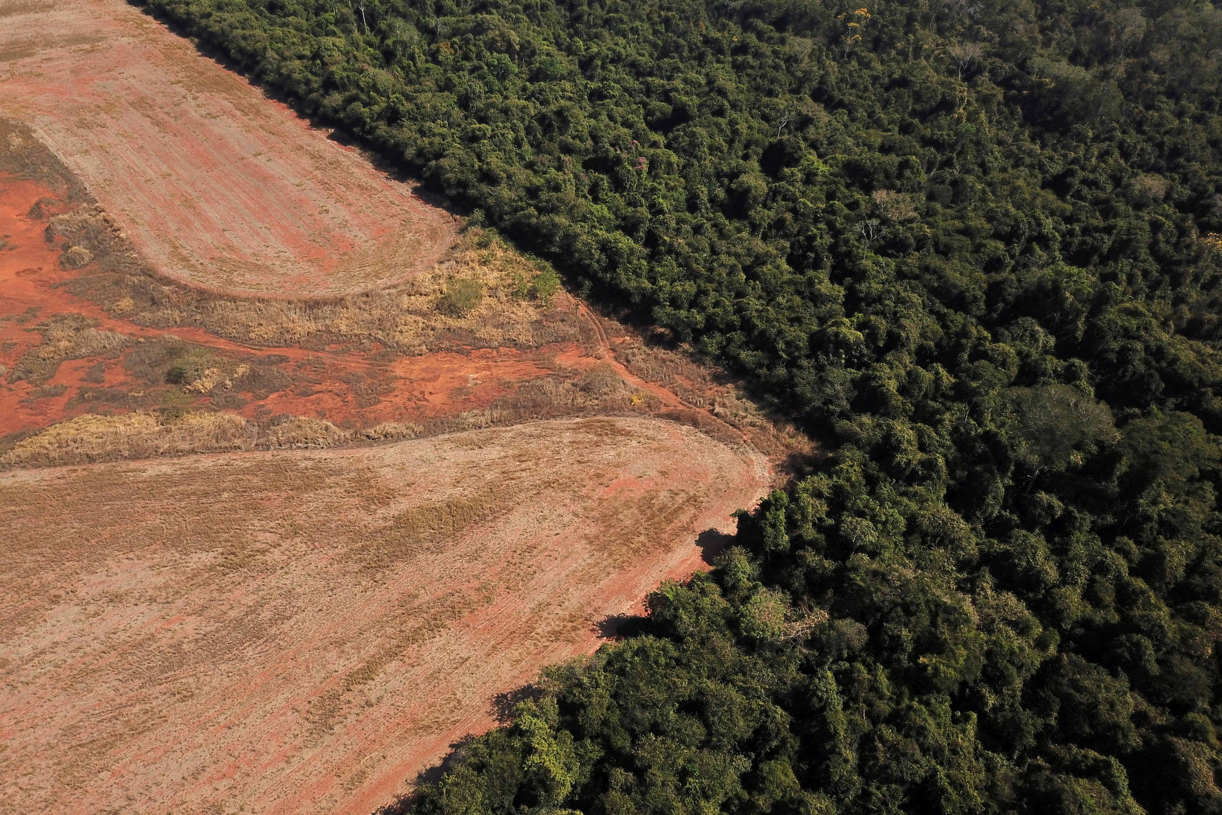 Deforestation in the Cerrado: alerts break new record – 05/26/2023 – Environment