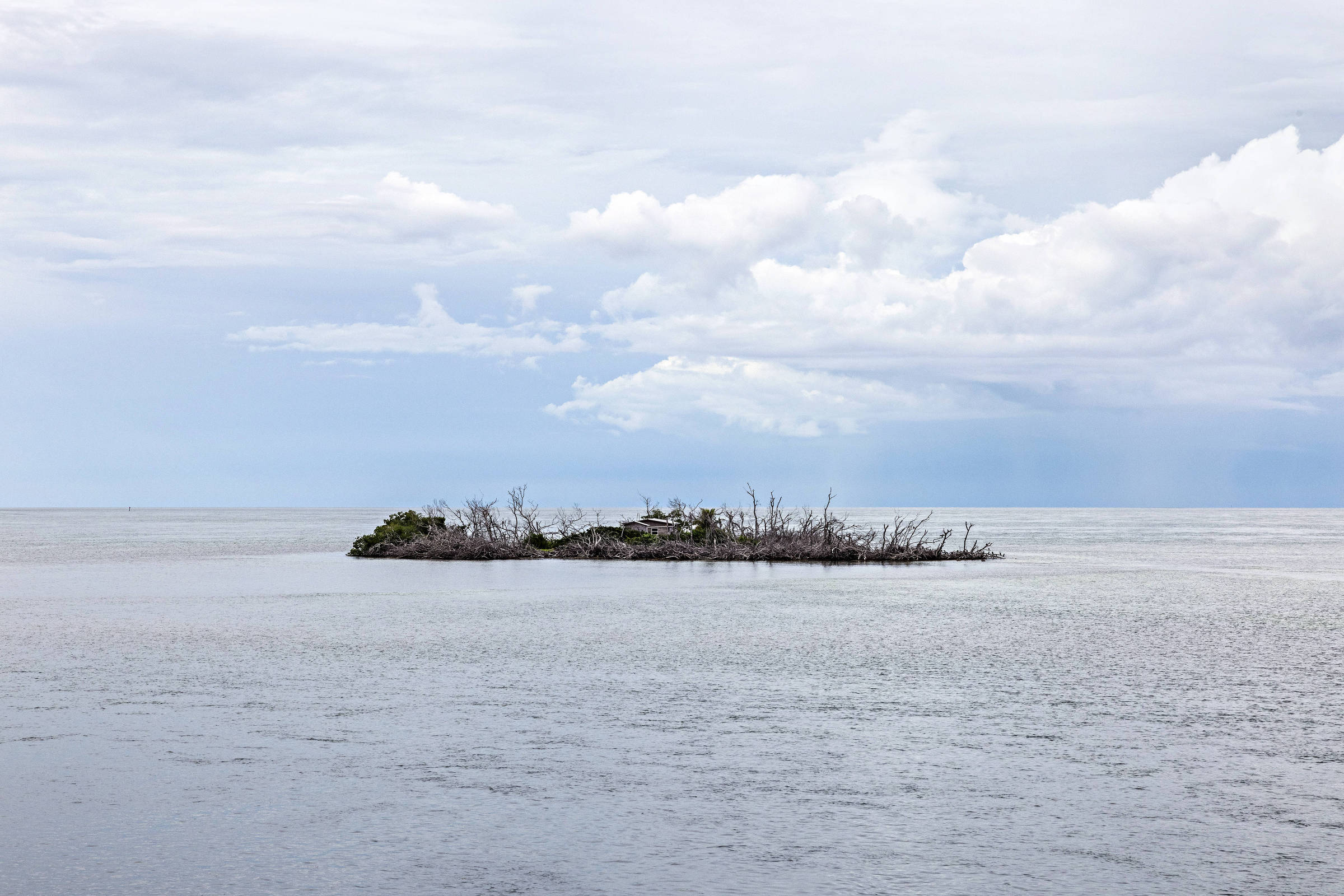 Island house with dead vegetation near the Overseas Highway, in the region known as the Florida Keys, in the south of the United States