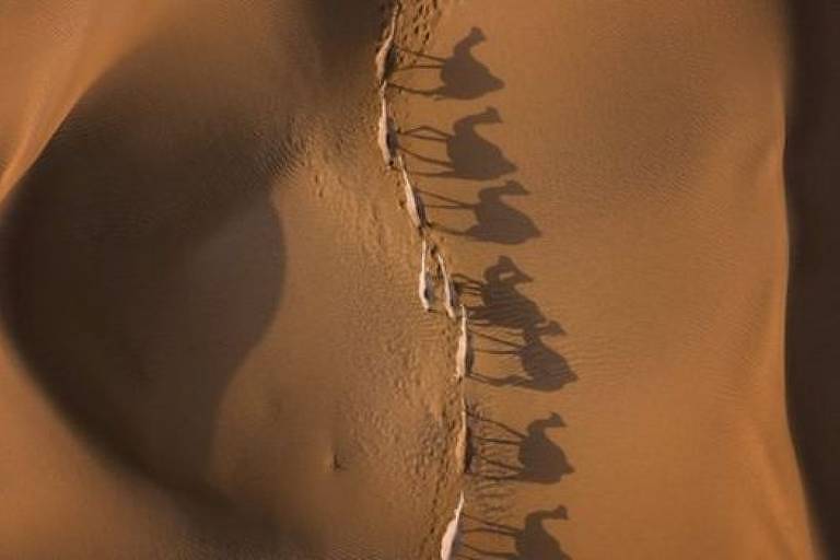 Imagem aérea mostra camelos enfileirados andando em uma duna