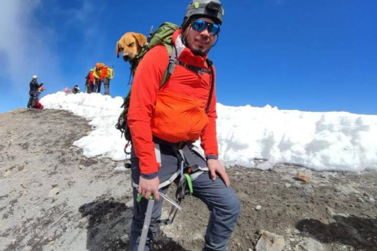 Alpinistas resgatam cachorro perdido na montanha mais alta do México