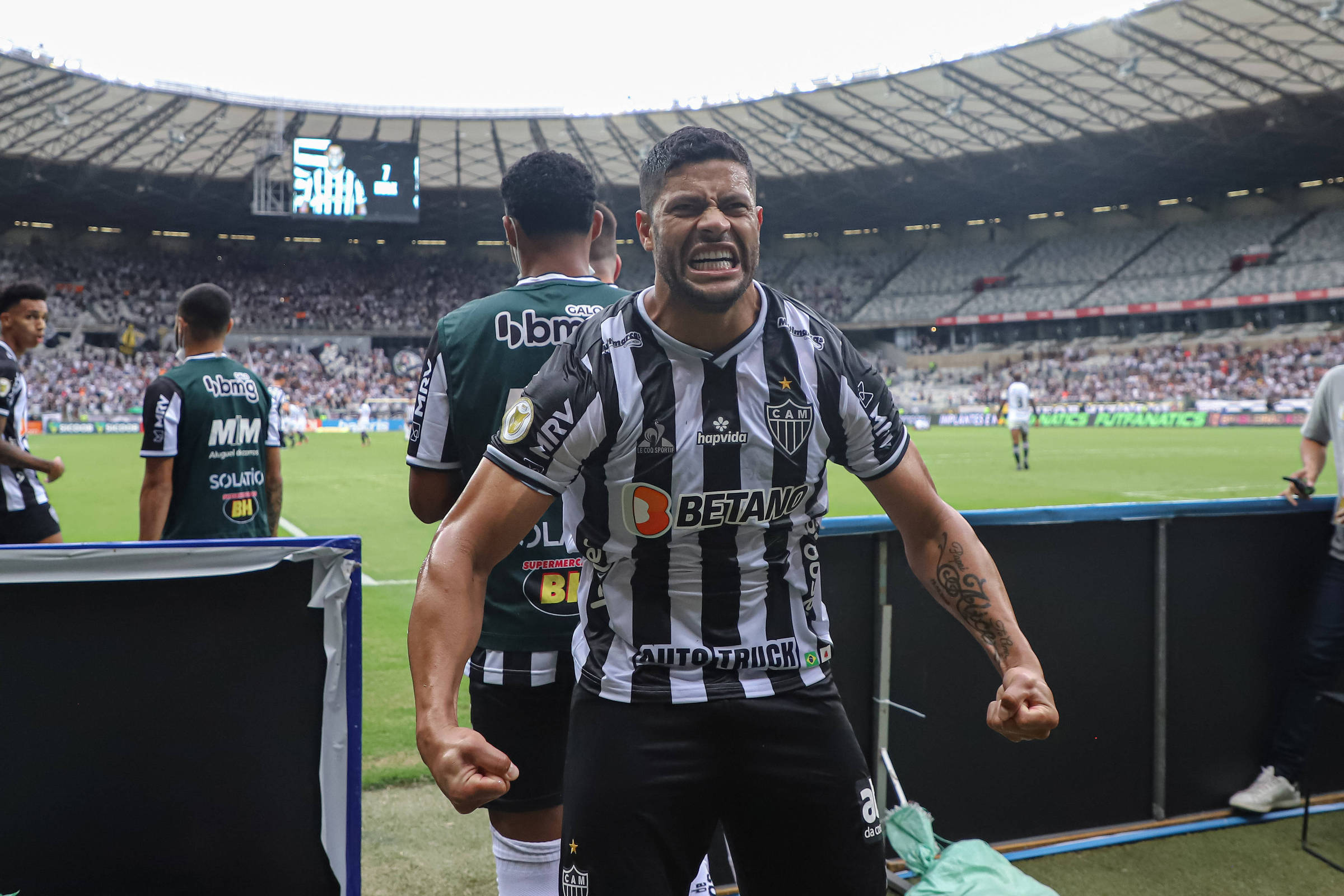 Na Quadra  Alugar Clube Stadium Belo Horizonte