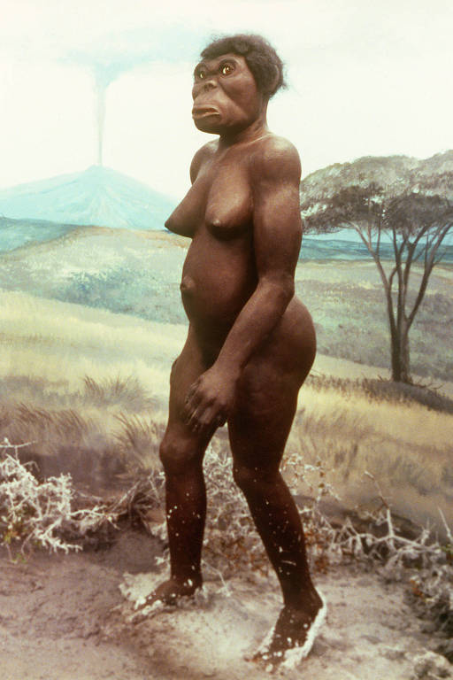 Ilustração de Lucy, mulher de 3,5 milhões de anos que foi encontrada em 1974, na África. Ela é um exemplar de Australopithecus afarensis, ancestral humano que desceu da árvore antes do que era estimado por cientistas