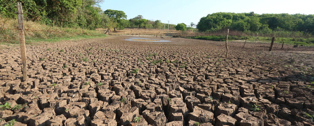Açude seco na zona rural de Tanabi, noroeste de São Paulo, com terra recortada e árvores ao fundo 