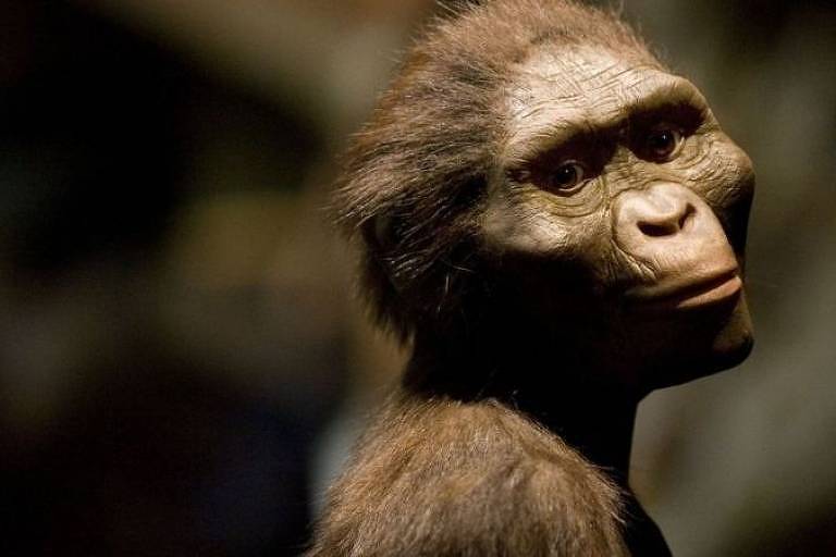 Reprodução do que viria a ser Lucy, da espécie de Australopithecus afarensis