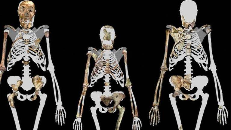 Lucy (ao centro) e dois indivíduos da espécie Australopithecus sediba, um ancestral dos humanos modernos de 2 milhões de anos atrás