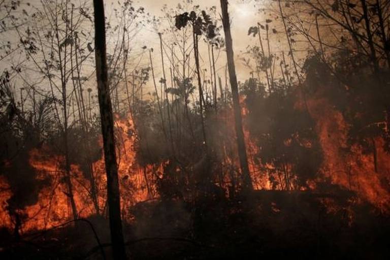 Imagerm mostra floresta em chamas