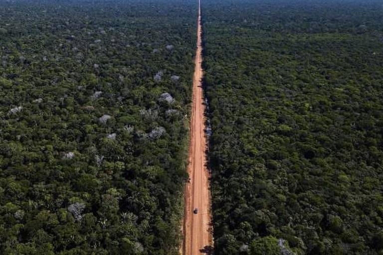 Imagem aérea mostra estrada de terra no meio de uma floresta