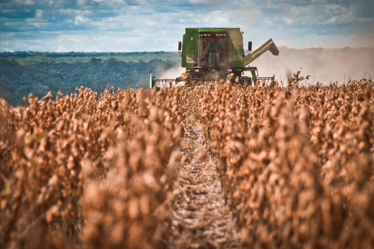Lucro cai e incertezas pairam sobre a agricultura em 2022