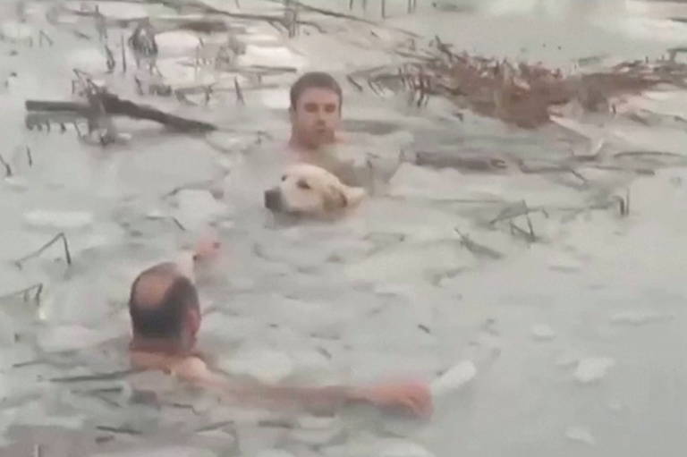 Guardas salvam cachorro preso em lago congelado; veja