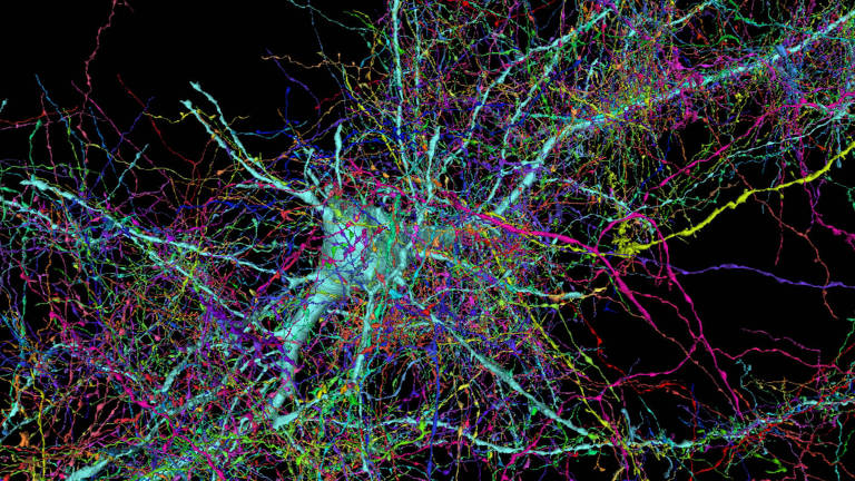Imagem f=gerada por computador mostra como seria um mapa do cerebro