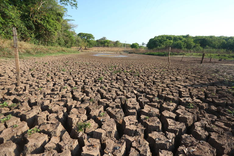 Clima faz Brasil perder 41 milhões de toneladas de grãos em dois anos