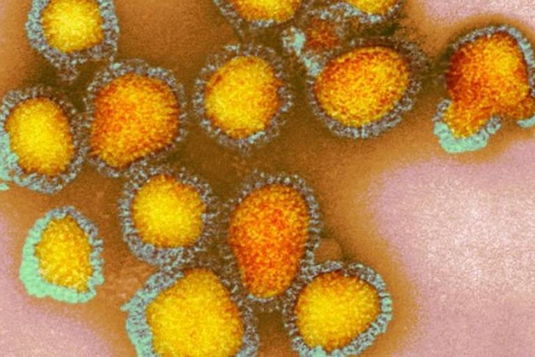 O vírus influenza está relacionado a 650 mil mortes por ano, estima a OMS