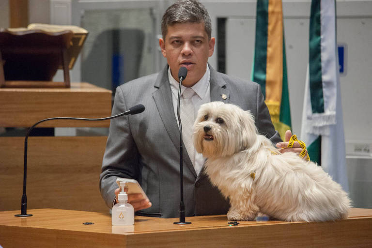 Câmara do DF autoriza acesso de pets, e deputado leva cachorro ao plenário