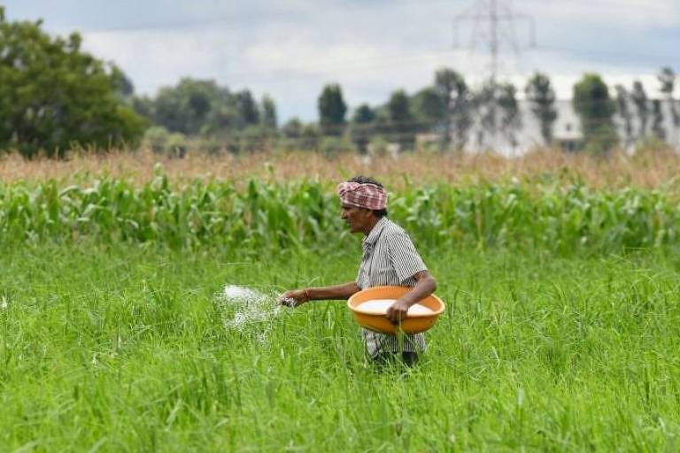 Preços mundiais dos fertilizantes dispararam neste ano a níveis não vistos em mais de uma década, de acordo com o Banco Mundial