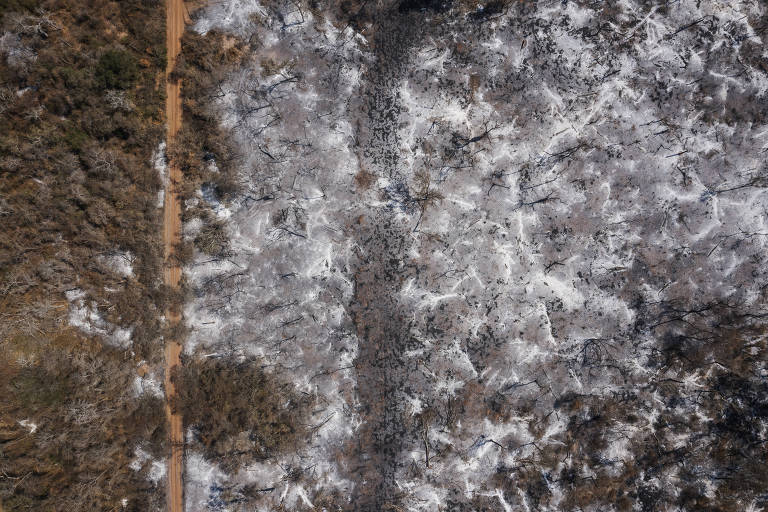 Vista aérea da vegetação coberta de cinzas
