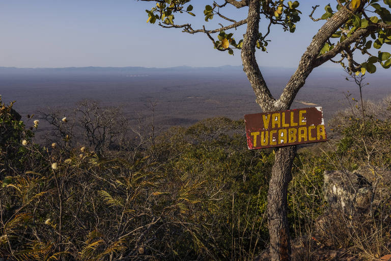 Vista de uma paisagem cheia de árvores a partir do alto de um morro. No tronco de uma árvore há uma placa de madeira em que está escrito em letras amarelas: Valle Tucavaca