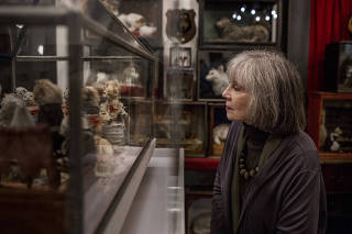 Anne Rice looks at taxidermic creatures on display at the Morbid Anatomy Museum in New York.