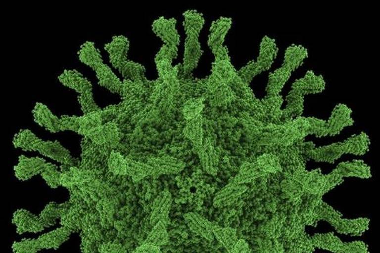 Ilustração do vírus da poliomielite mostra um objeto circular em tom de verde
