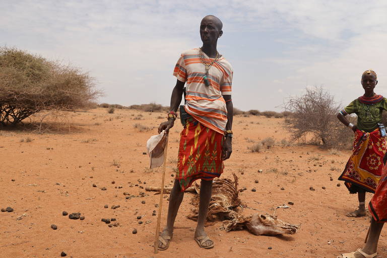 Seca empurra quenianos para fome e leva animais à morte