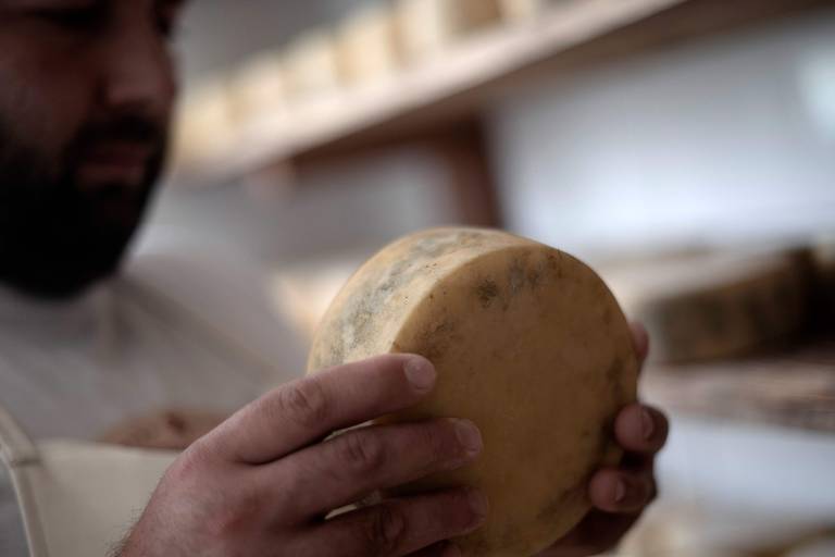 Funcionário segura queijo Fumacê em Alagoa, região sul de Minas Gerais