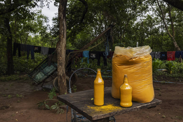 Fotografia colorida mostra um saco e duas garrafas plásticas cheias de cúrcuma, um condimento de cor amarela alaranjada bem forte; o caso está sobre uma mesa de madeira em um quintal cheio de árvores