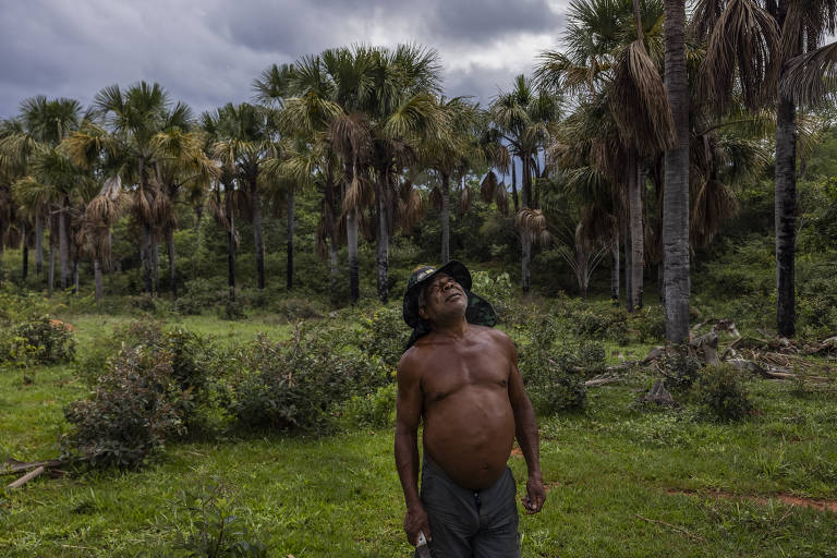 Anísio Pereira da Silva, o Nisão, na vereda de buritis que secou em sua propriedade na comunidade de Paracatu (MG)