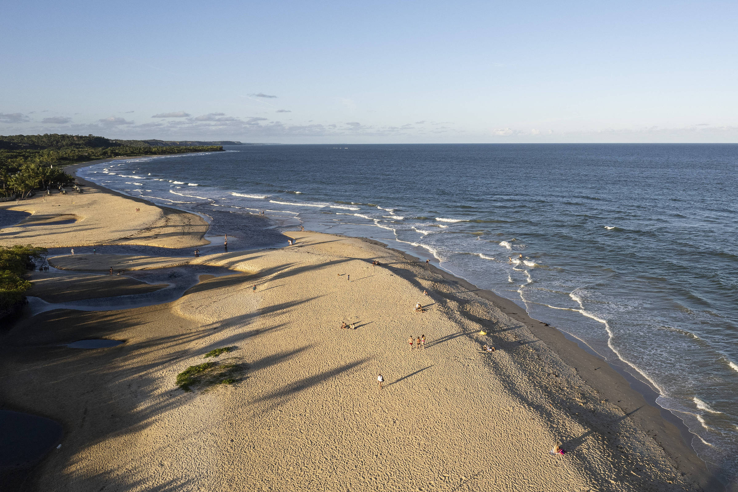 Sem perceber, banhista nada ao lado de tubarão em praia de Fortaleza, Ceará