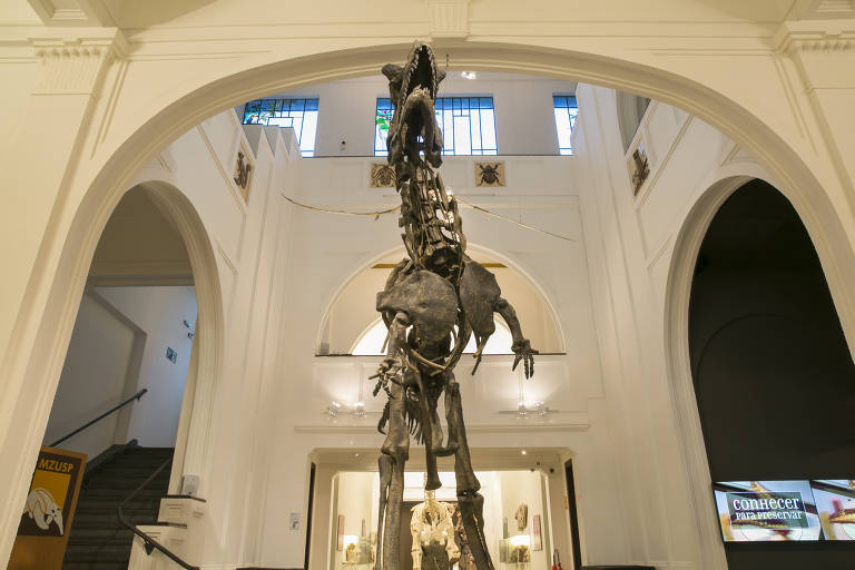 Dinossauros voltam a ser grande atração do Museu de Zoologia da USP, que reabre em SP