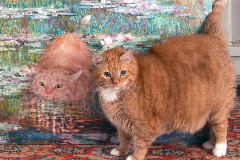 Fat Cat Art: Morre Zarathustra, gato que inspirou russa a recriar obras de arte