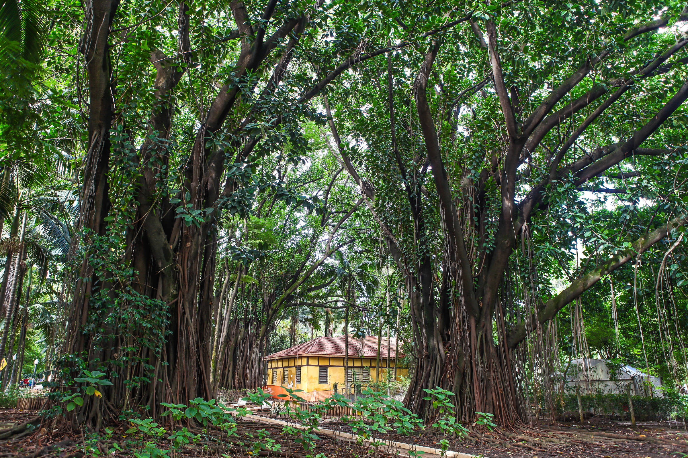 Deixem a cerveja frequentar outros lugares que não um parque