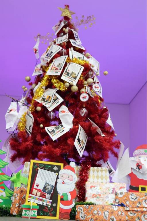 Cachorródromo tem árvore de Natal com pedidos de pets de abrigo, em SP