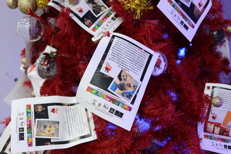 Cachorródromo reúne em árvore de Natal pedidos de pets de abrigo