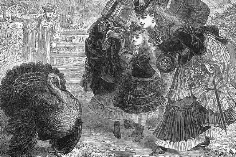 Ilustração de mulheres olhando um peru