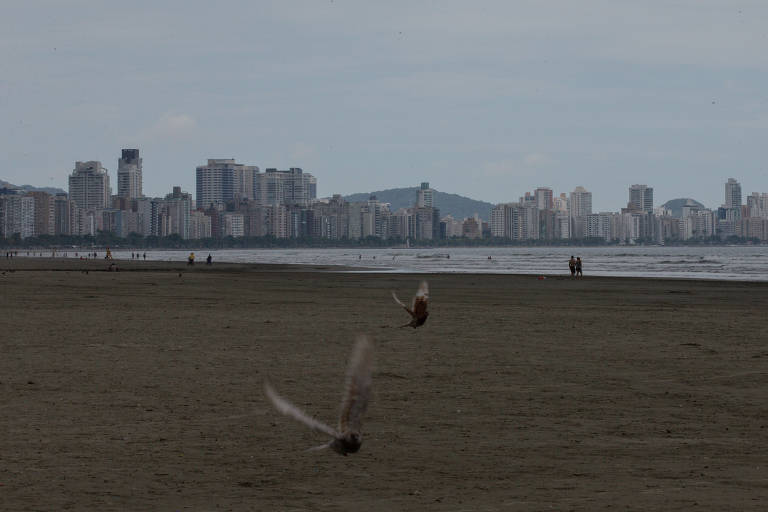 Praias limpas aumentam no litoral norte de SP, e Baixada Santista