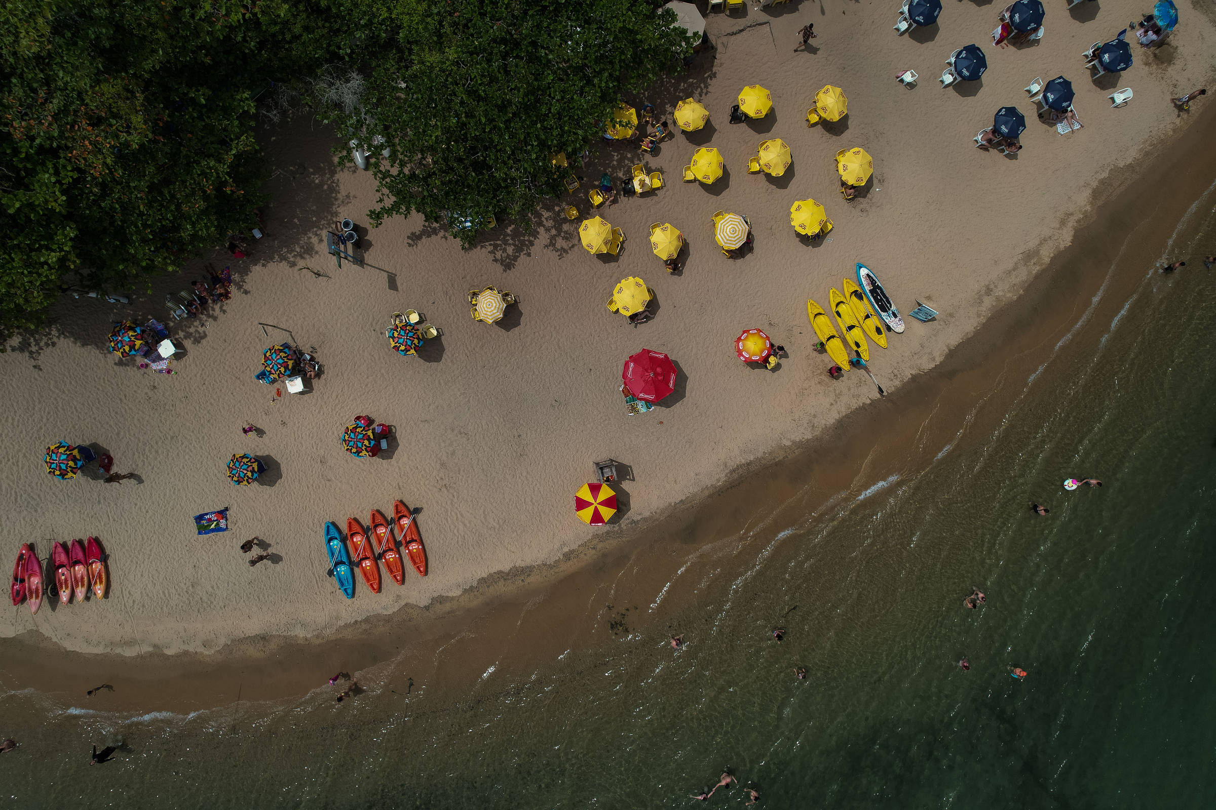 Verão em Itajaí: Parque do Atalaia é opção turística e de lazer em meio a  natureza