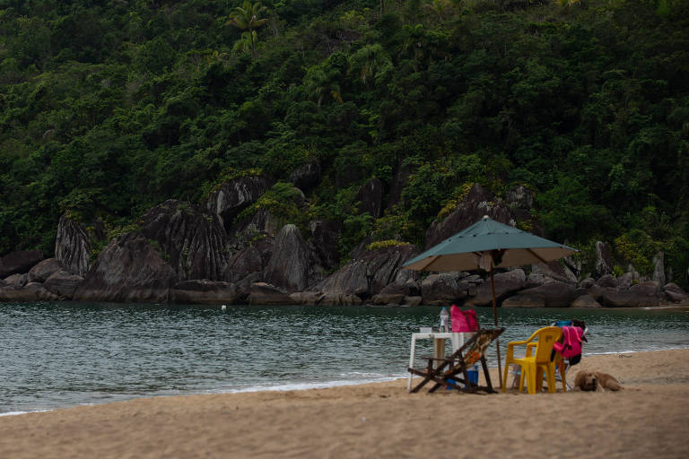 Em destaque, um guarda-sol está aberto na beira de uma praia. 