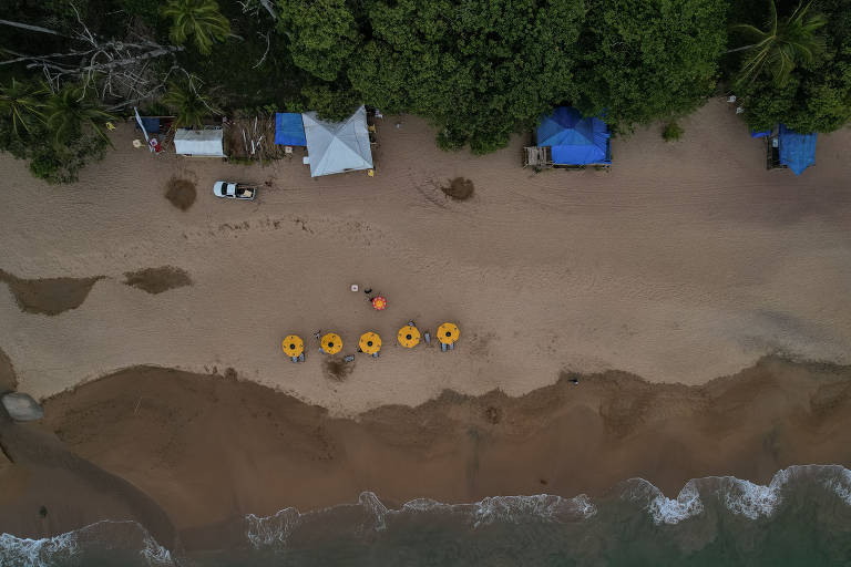 Praias limpas aumentam no litoral norte de SP, e Baixada Santista