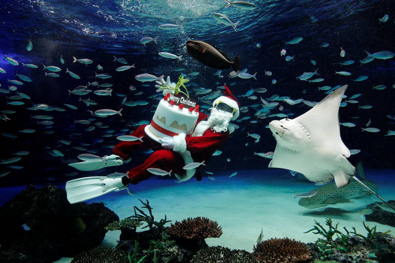 Papai Noel mergulhador ensaia apresentação em aquário no Japão; veja fotos de hoje