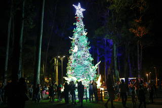 Christmas lights decoration at Ibirapuera Park in Sao Paulo