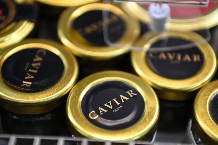 Milicos-caviar fazem banquete sobre os 619 mil mortos na pandemia